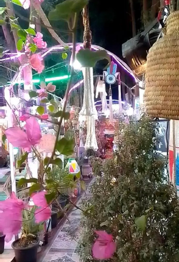 Peace Garden Hostel & Camp Luxor