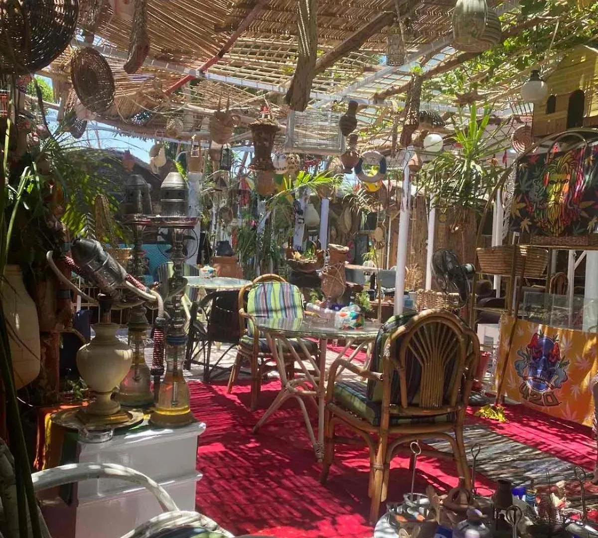 بيت ضيافة Peace Garden Hostel & Camp الأقصر