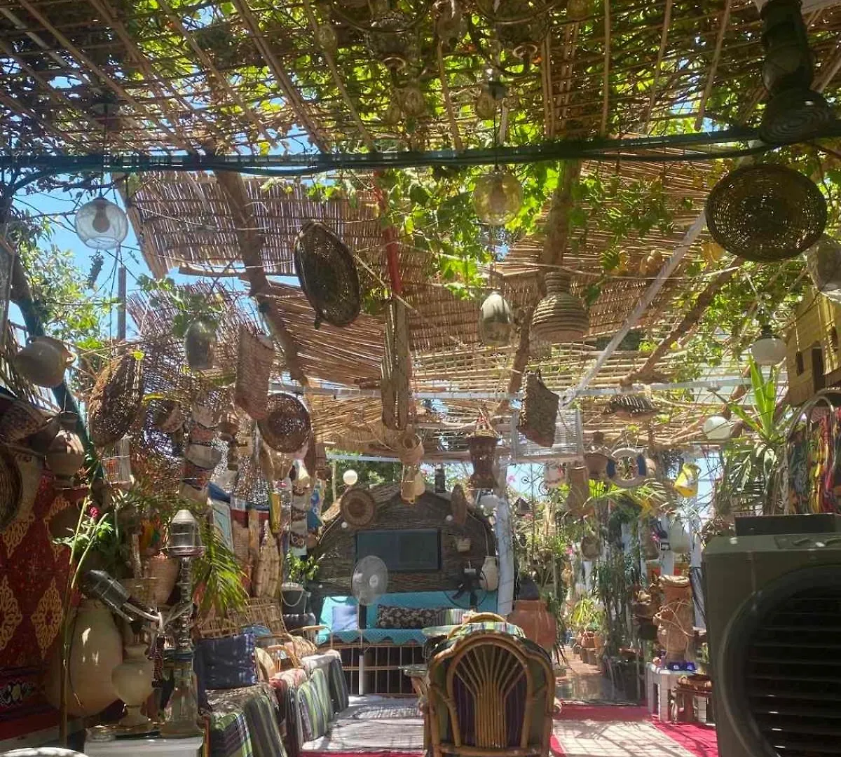 بيت ضيافة Peace Garden Hostel & Camp الأقصر مصر