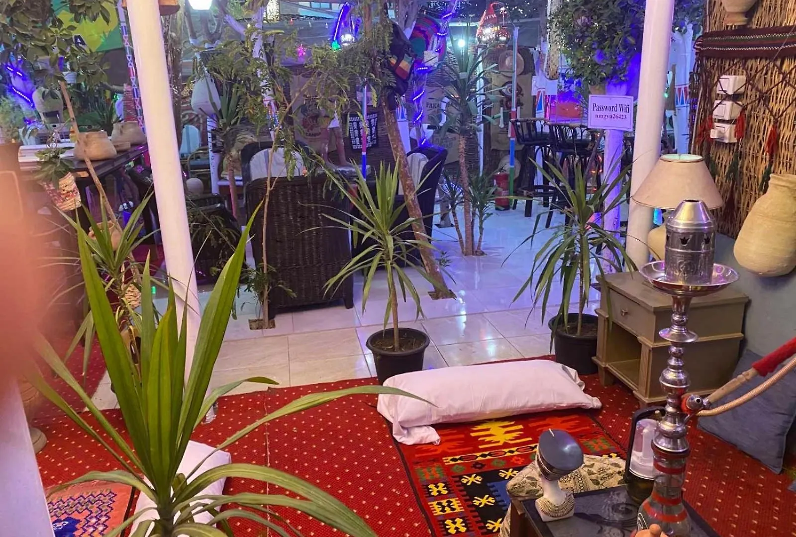 Peace Garden Hostel & Camp Luxor