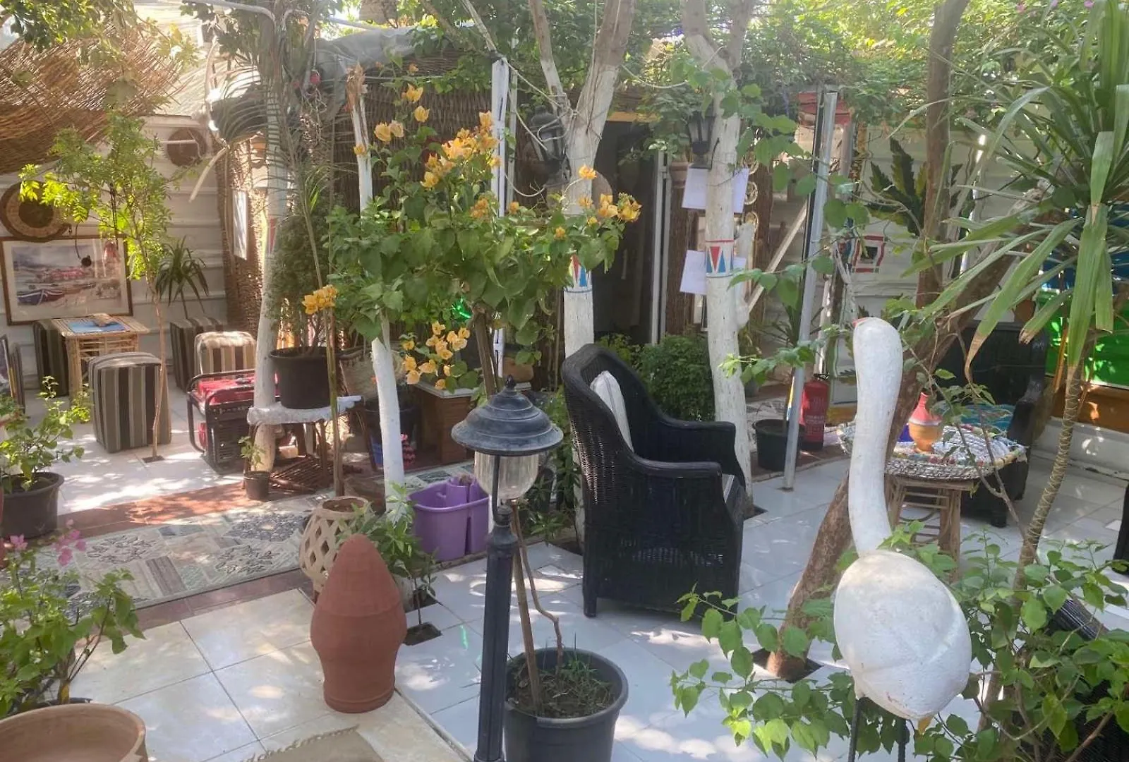 Peace Garden Hostel & Camp Luxor Egipto