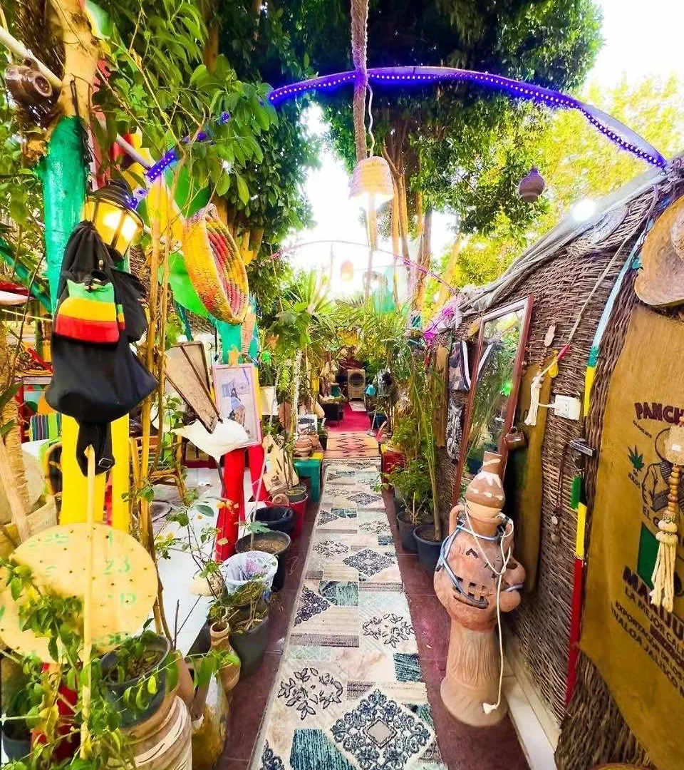 Pensión Peace Garden Hostel & Camp Luxor