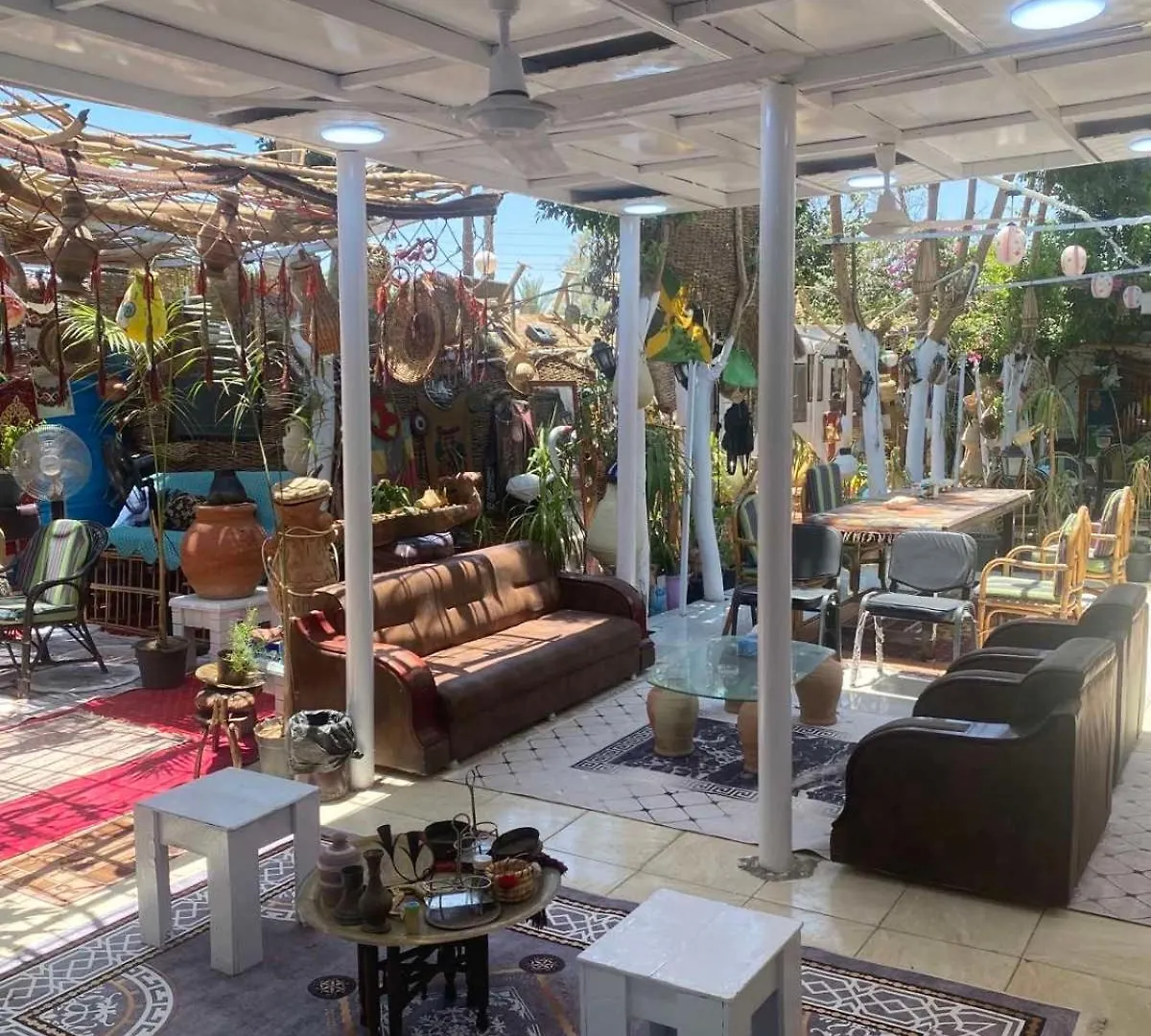 Pensión Peace Garden Hostel & Camp Luxor